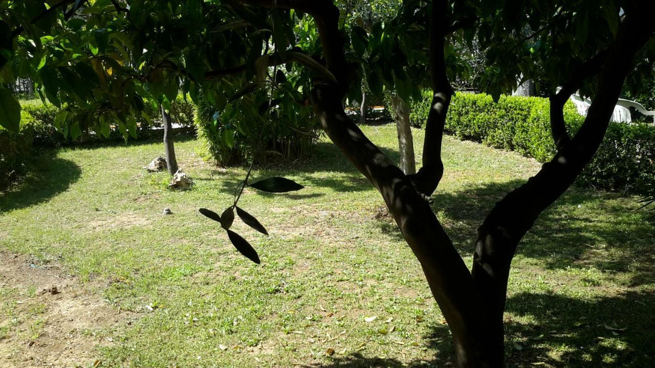 Centro Giovanile Padre Minozzi Policoro Bagian luar foto